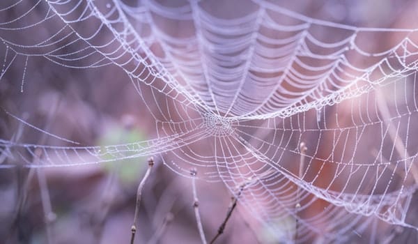 Activités insolites à Washington pour Halloween avec ton visa J-1