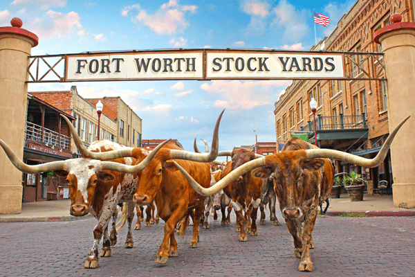 A la conquête de Fort Worth avec ton Visa J-1 !