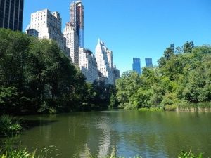 central-park-tumblr-jpg-rdm-min